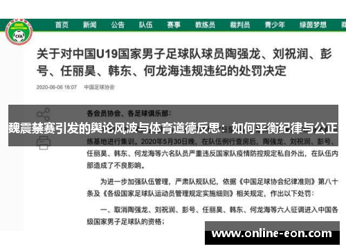 魏震禁赛引发的舆论风波与体育道德反思：如何平衡纪律与公正
